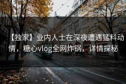 【独家】业内人士在深夜遭遇猛料动情，糖心vlog全网炸锅，详情探秘