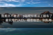 我差点不敢点｜p站视频搬运工翻车了：最实用的入口，细思极恐，别乱用