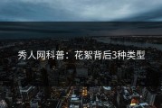 秀人网科普：花絮背后3种类型