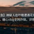【紧急】神秘人在昨晚遭遇花絮全网炸裂，糖心vlog全网炸锅，详情查看