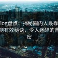 糖心Vlog盘点：揭秘圈内人最靠谱的5大亲测有效秘诀，令人迷醉的背后秘密