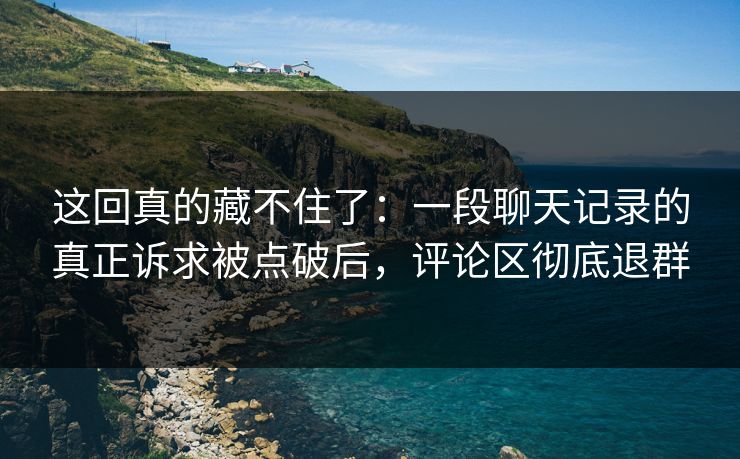 这回真的藏不住了：一段聊天记录的真正诉求被点破后，评论区彻底退群